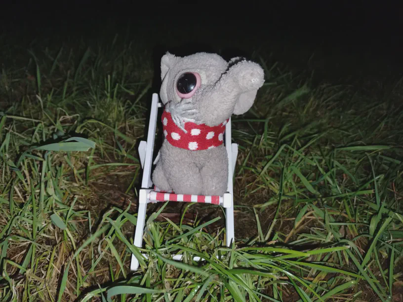 Kagube sitzt im Liegestuhl im Gras einer Wiese. Es ist dunkel um ihn herum.
