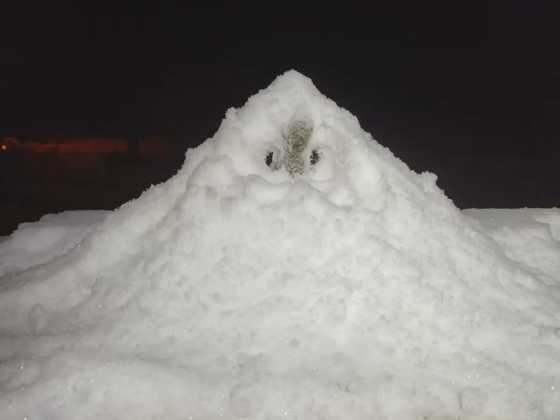 Kagube sitzt versteckt im Berg aus Schnee. Im Hintergrund die Nacht.