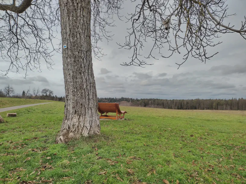 Ein Bild von einer Landschaft mit Baum im Vordergrund. Ich sitze in den Ã„stelchen. Hinten unterm Baum ist noch eine Pausenbank.